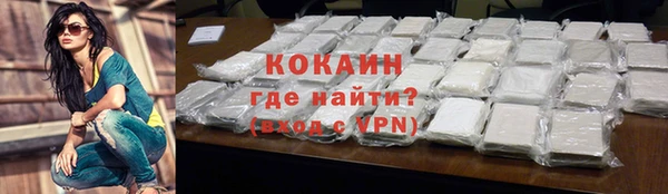 ГАЛЛЮЦИНОГЕННЫЕ ГРИБЫ Семёнов