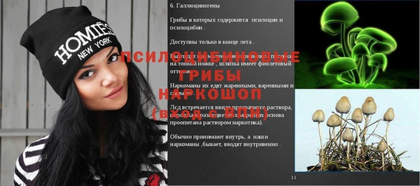 ALPHA-PVP Богородск