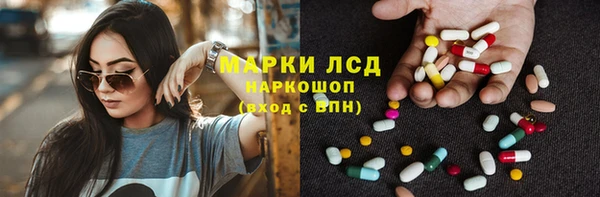 индика Арсеньев